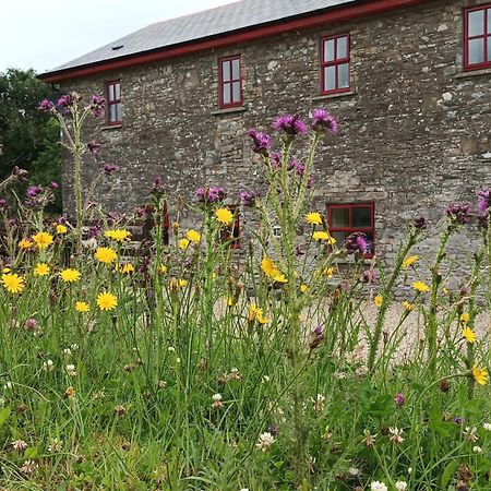 The Old Mill, Kilcorkey, Bellanagare, Castlerea, County Roscommon - West Of Ireland -House 1 Villa ภายนอก รูปภาพ